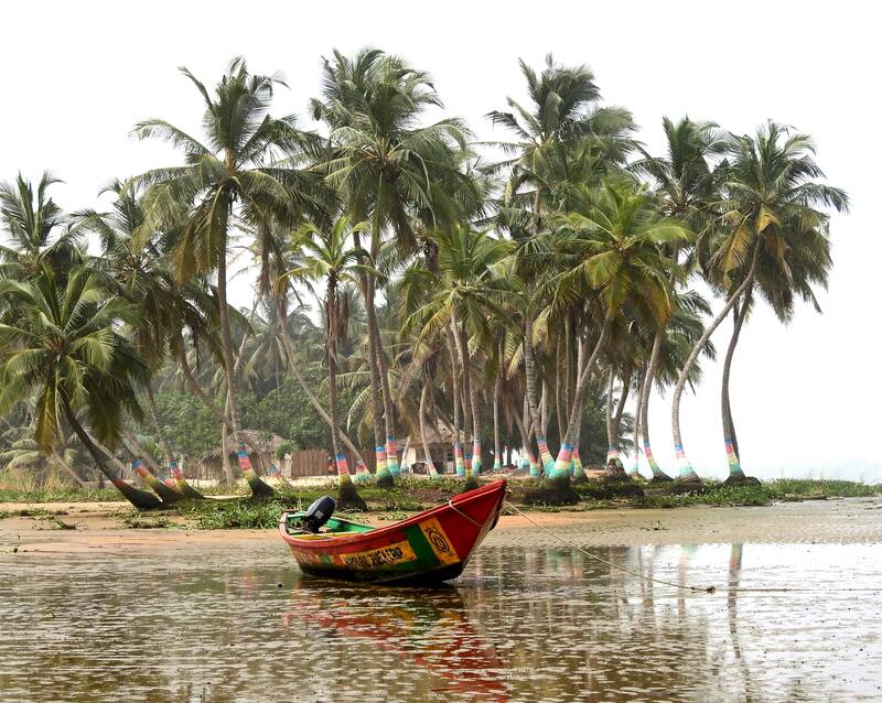Fischboot auf dem Wasser, dahinter Strand mit Palmen in Ghana
